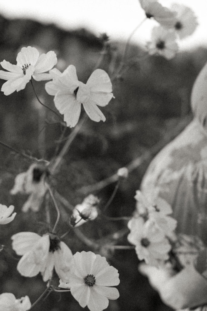 motherhood photographer newborn photographer ct newborn photographer family photography fine art film family photographer ct newborn photographer ct family photographer west hartford newborn photographer west hartford family photographer westport family photographer westport newborn photographer westport motherhood photographer west hartford motherhood photographer fine art newborn photographer fine art family photographer ct fine art newborn photographer ct fine art family photographer ct shoreline photography session ct shoreline session maternity photographer ct maternity photographer motherhood editorial motherhood photographer ct motherhood photographer emotive photography